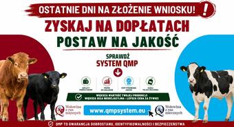 Ekoschemat „Dobrostan zwierząt” Dodatkowe pieniądze dla hodowców z QMP – tylko do 1 czerwca!